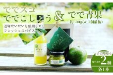 P60004 ででこしょう＆ででスコ でで青果 セット(ででこしょう30g・ででスコ65ml・でで（辺塚だいだい）約500ｇ) 香辛料 スパイス だいだい 橙 辺塚だいだい お取り寄せ ギフト 贈答【岸良リトリート】