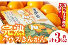 A18004 ＜先行予約受付中！2026年2月下旬に収穫ができ次第順次発送予定＞肝付町産 完熟ハウスきんかん(約3kg×1ケース)鹿児島 国産 フルーツ 果物 柑橘 金柑 きんかん 果汁 ギフト お歳暮【JA鹿児島きもつき高山支所】