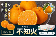A18008 ＜先行予約受付中！2026年2月より収穫ができ次第順次発送予定＞肝付町産不知火(しらぬい)(計6kg・3kg×2ケース)国産 フルーツ 果物 柑橘 みかん デコポン しらぬい 不和火【JA鹿児島きもつき高山支所】