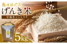島のめぐみ げんき米 (早場米 コシヒカリ) 5kg | 令和7年産 米 お米 白米 精米 ライス 早場米 コシヒカリ 種子島 種子島産 鹿児島県（5kg袋）