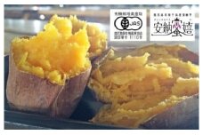 N124　【九州トータルプランニング】種子島産・有機ＪＡＳ安納芋『天然スイーツ・安納蜜嬉』7kg