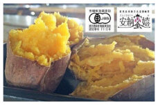 N130　【九州トータルプランニング】種子島産・有機ＪＡＳ安納芋『天然スイーツ・安納蜜嬉』2.5kg