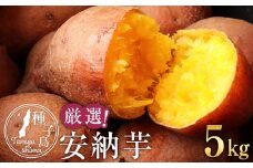 厳選！本場種子島産安納芋５kg【安納芋 安納いも 焼き芋 焼芋 やきいも さつまいも スイーツ デザート おやつ 熟成 蜜 しっとり 甘い  鹿児島県 種子島 中種子町  N131】