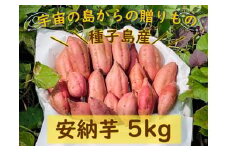 種子島産安納芋５kg【安納芋 安納いも 焼き芋 焼芋 やきいも さつまいも スイーツ デザート おやつ 熟成 蜜 しっとり 甘い  鹿児島県 種子島 中種子町  種子島安納 N132】