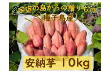 種子島産安納芋１０kg【安納芋 安納いも 焼き芋 焼芋 やきいも さつまいも スイーツ デザート おやつ 熟成 蜜 しっとり 甘い  鹿児島県 種子島 中種子町  種子島安納 N133】
