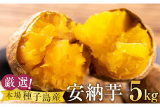 厳選！本場種子島産安納芋5kg【安納芋 安納いも 焼き芋 焼芋 やきいも さつまいも スイーツ デザート おやつ 熟成 蜜 しっとり 甘い  鹿児島県 種子島 中種子町 永濱農園 N134】