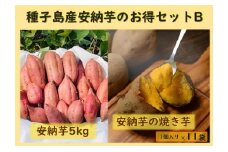  種子島産安納芋のお得セットB（安納芋5kg＋冷凍焼き芋1個入り×11袋）【安納芋 安納いも 焼き芋 焼芋 やきいも さつまいも さつま芋 冷凍焼き芋 冷凍焼芋 冷凍安納芋 冷凍安納いも スイーツ デザート おやつ 冷凍 熟成 蜜 しっとり 甘い 鹿児島県 種子島 中種子町 種子島安納 N154】