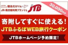 【中種子町旅行に使える】JTBふるぽWEB旅行クーポン（30,000円分）【旅行 旅 飛行機 宿泊 トラベル 予約 人気 おすすめ 鹿児島県 中種子町 ふるさと納税 送料無料 JTBW030】