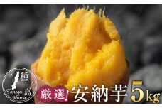 厳選！本場種子島産安納芋5kg【安納芋 安納いも 焼き芋 焼芋 やきいも さつまいも スイーツ デザート おやつ 熟成 蜜 しっとり 甘い  鹿児島県 種子島 中種子町 あぐりの里 N157】