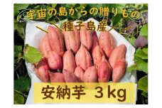 種子島産安納芋3kg【安納芋 安納いも 焼き芋 焼芋 芋 いも やきいも さつまいも さつま芋 熟成 蜜 しっとり 甘い 安納いも 国産 鹿児島県産 種子島産 中種子町 種子島安納 送料無料 N161】