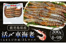 活き〆冷凍車海老　300g（3Lサイズ）9尾入り【エビ えび 海老 車海老 くるまえび クルマエビ 冷凍 活き 新鮮 急速冷凍 海産物 天ぷら 塩焼 バーベキュー 国産 ギフト 真空パック 真空 養殖 九州産 鹿児島県 種子島 中種子町 ふるさと納税 送料無料 BF003】
