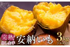 完熟吊し生芋　安納いも3kg（プチサイズ）【安納芋 安納いも 焼き芋 焼芋 やきいも さつまいも さつま芋 生芋 完熟 熟成 蜜 しっとり 甘い 安納いも 国産 鹿児島県産 種子島産 中種子町 安納大地 送料無料 N159】