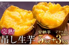 完熟吊し生芋セット 安納芋5kg＋プチサイズ安納芋3kg【安納芋 安納いも 焼き芋 焼芋 芋 いも やきいも さつまいも さつま芋 熟成 蜜 しっとり 甘い 安納いも 国産 鹿児島県産 種子島産 中種子町 安納大地 送料無料 N163】