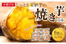 しっとり安納芋の焼き芋250g×6個【国産 種子島 さつまいも さつま芋 サツマイモ 焼芋 やきいも 焼いも 冷やし焼き芋 スイーツ おやつ デザート 冷凍 お取り寄せ おすすめ 人気 中種子町 送料無料 AA01】