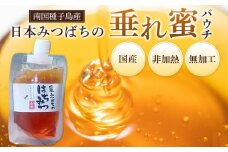 日本みつばちの垂れ蜜 パウチ180g×1【ハチミツ はちみつ 蜂蜜 垂れ蜜 百花蜜 非加熱 無加工 ミツバチ 蜜蜂 パウチ 調味料 お菓子 お菓子作り 料理 スイーツ 種子島産 鹿児島県産 国産 鹿児島県 種子島 中種子町 ふるさと納税 送料無料 BN03】