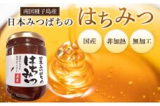 ≪数量限定≫南国種子島産！日本みつばちのはちみつ(300g)【ハチミツ はちみつ 蜂蜜 垂れ蜜 百花蜜 非加熱 無加工 ミツバチ 蜜蜂 瓶 調味料 お菓子 お菓子作り 料理 スイーツ 種子島産 鹿児島県産 国産 鹿児島県 種子島 中種子町 ふるさと納税 送料無料 BN01】