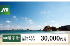 【中種子町】JTBふるさと旅行クーポン（Eメール発行）（30,000円分）