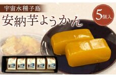 宇宙水種子島安納芋ようかん(5個入)【羊羹 ようかん 和菓子 安納芋 安納いも サツマイモ 芋 イモ いも お菓子 スイーツ お茶菓子 おやつ 種子島産 BS04】