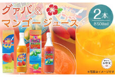 【お中元用】グァバ・マンゴージュースセット 500ml×2本（N023SM-C）