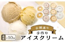 ＜種子島素材使用＞ アイスクリーム詰め合わせA(計10個)【黒糖 安納芋 牛乳 パッションフルーツ 果物 フルーツ おいしい アイス アイスクリーム スイーツ おやつ 冷凍食品 人気 おすすめ 鹿児島県 中種子町 ふるさと納税 送料無料 N011】