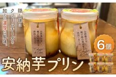 安納芋プリン　6個【ぷりん プリン 洋菓子 デザート スイーツ 冷凍 安納芋 安納いも サツマイモ 芋 イモ いも お菓子 スイーツ 安納芋ぷりん おやつ 種子島産 レストラン公園通り N175】