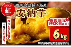 【期間限定】種子島産安納芋紅6kg
