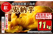 【期間限定】種子島産安納紅いも11kg