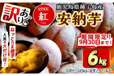 【期間限定】【訳あり】種子島産安納紅いも 6kg 2S～2LMIX