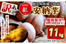 【期間限定】【訳あり】種子島産安納紅いも11kg 2S～2LMIX