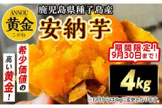【期間限定】種子島産安納黄金いも4kg Sサイズ
