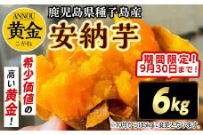 【期間限定】種子島産安納黄金いも6kg Sサイズ