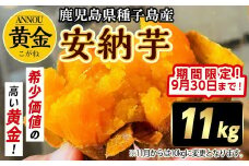 【期間限定】種子島産安納黄金いも11kg Sサイズ
