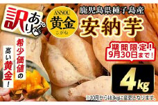 【期間限定】【訳あり】種子島産安納黄金いも4kg 2S～2L MIX