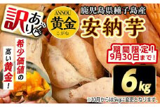 【期間限定】【訳あり】種子島産安納黄金いも6kg 2S～2L MIX