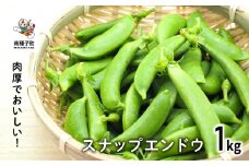 【先行予約】スナップエンドウ 人気 種子島産 返礼品 南種子町 鹿児島 かごしま 【のっちーよ種子島】