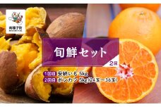 【先行予約】【定期便】 種子島 旬鮮セット 全2回 安納いも ポンカン 人気 種子島産 返礼品 南種子町 鹿児島 かごしま 【のっちーよ種子島】