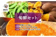 【先行予約】【定期便】 種子島 旬鮮セット 全3回 安納いも スナップエンドウ タンカン 人気 種子島産 返礼品 南種子町 鹿児島 かごしま 【のっちーよ種子島】
