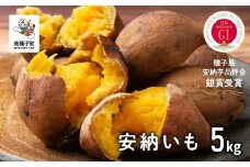 【先行予約】種子島 安納いも 5kg 人気 種子島産 返礼品 南種子町 鹿児島 かごしま 【のっちーよ種子島】