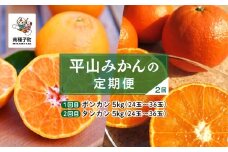 【定期便】【先行予約】 種子島 平山みかん ポンカン タンカン 定期便 全2回 人気 種子島産 返礼品 南種子町 鹿児島 かごしま 【のっちーよ種子島】