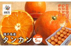 《 先行予約 》【2026年2月中旬〜3月中旬頃順次発送】種子島産タンカン(ご家庭用) 5kg(24玉～36玉)