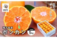 《先行予約》　《2025年12月中旬頃〜1月中旬頃順次発送》種子島産ポンカン(ご家庭用) 5kg(24玉～36玉)