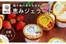 恵みジェラート8個セット
