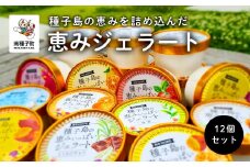 恵みジェラート12個セット