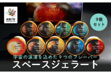 スペースジェラート 9個セット