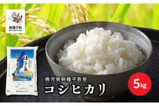 《令和7年産米》 新米 種子島産コシヒカリ 5kg 新米 米 お米 こめ コメ 精米 白米 コシヒカリ こしひかり 食品 グルメ お取り寄せ おすそわけ 人気 おすすめ ギフト 南種子町 鹿児島 かごしま 【有限会社新栄物産】