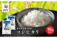 《令和7年産米》 新米 種子島産コシヒカリ 10kg 新米 米 お米 こめ コメ 精米 白米 コシヒカリ こしひかり 食品 グルメ お取り寄せ おすそわけ 人気 おすすめ ギフト 南種子町 鹿児島 かごしま 【有限会社新栄物産】