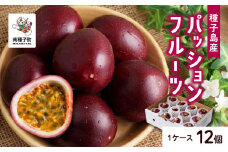 《令和7年度》 種子島産パッションフルーツ 1ケース ( 12個入り ) パッションフルーツ 果物 フルーツ 食品 グルメ お取り寄せ お中元 人気 おすすめ 返礼品 南種子町 鹿児島 かごしま 【有限会社新栄物産】