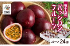 《令和7年産》 種子島産パッションフルーツ 2ケース ( 24個入り ) パッションフルーツ 果物 フルーツ 食品 グルメ お取り寄せ お中元 人気 おすすめ 返礼品 南種子町 鹿児島 かごしま 【有限会社新栄物産】