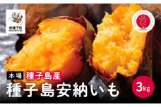  【先行予約】種子島 安納いも さつまいも 3kg 焼きいも 焼き芋 本場 安納芋  さつま芋 甘い ねっとり スイーツ おやつ グルメ お取り寄せ おせち 人気 種子島産 返礼品 南種子町 鹿児島 かごしま 【観光物産館トンミー市場】