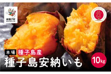 【先行予約】 種子島 安納いも さつまいも 10kg 焼きいも 焼き芋 本場 安納芋  さつま芋 甘い ねっとり スイーツ おやつ グルメ お取り寄せ おせち 人気 種子島産 返礼品 南種子町 鹿児島 かごしま 【観光物産館トンミー市場】
